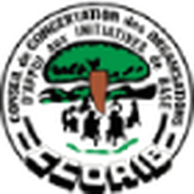 CCOAIB